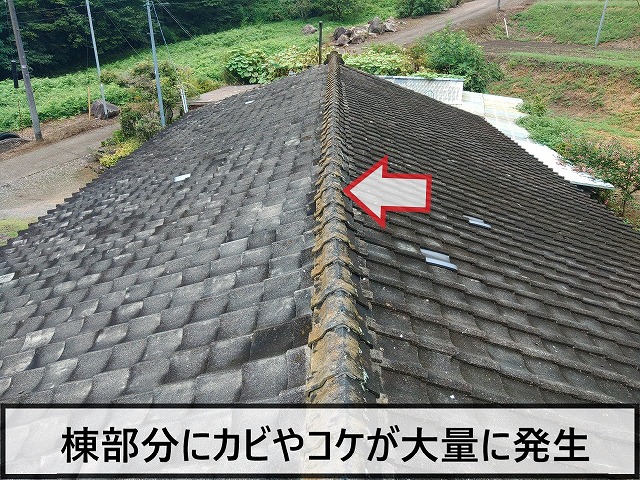 棟部分にカビや苔が大量に発生している状態