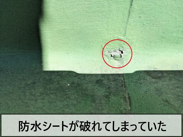 屋上の防水シートが破れてしまっていた