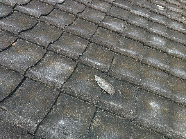 欠けた瓦が落ちていた