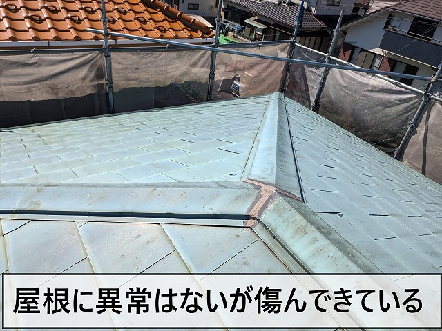屋根に異常はありませんが、傷んできている状態