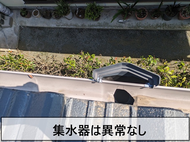 集水器には異常がない状態