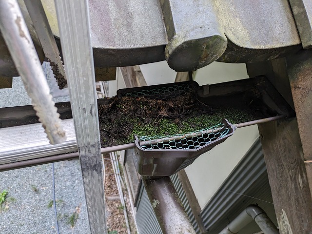 集水器上のネットに土が溜まっている