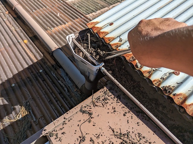 集水器の中に詰まっているものをトングで除去しているところ