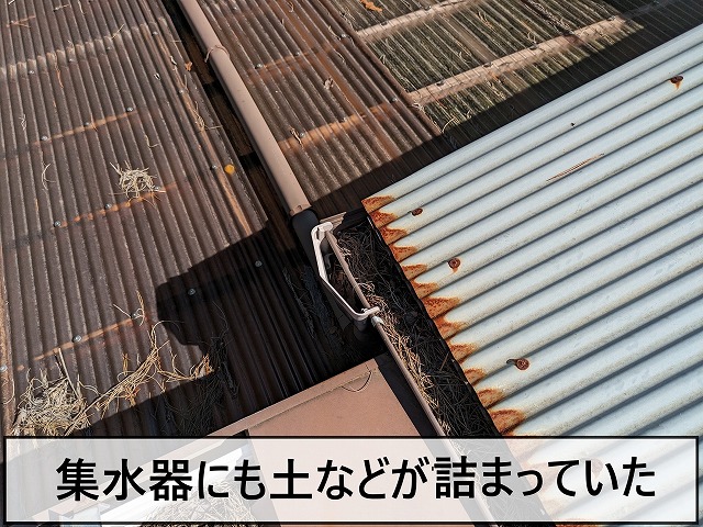 集水器に土が詰まっている