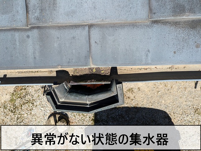 異常がない銅雨樋