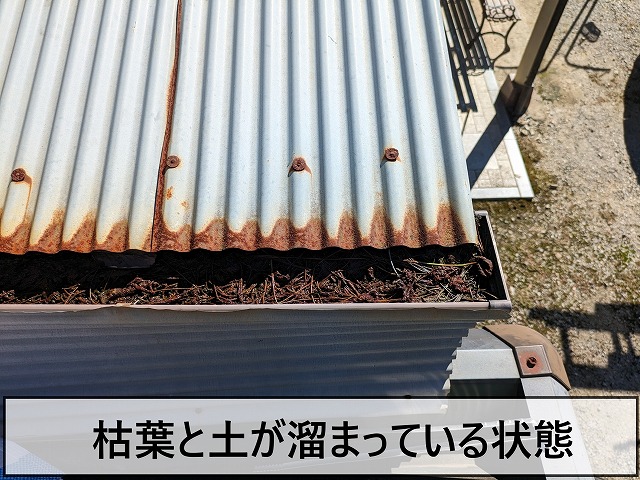 雨樋に枯葉などが詰まっている状態