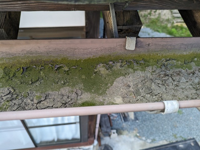 雨樋に土が溜まっている
