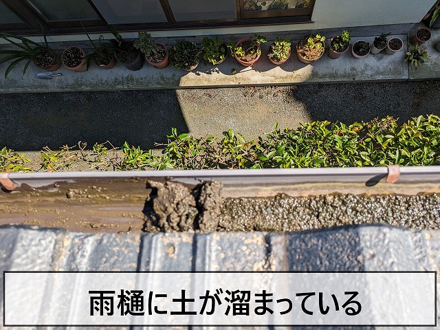 雨樋に土が溜まっている状態