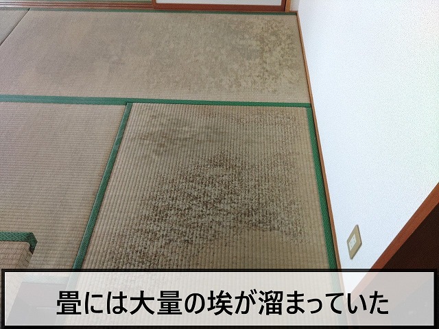 放置していたため埃が溜まっていた