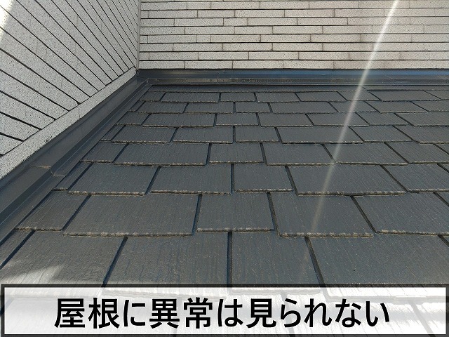 雨漏りしていると思われる部分は見られない状態の屋根