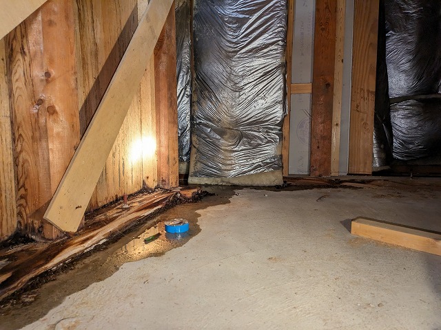 散水後に雨漏りが広がっている状態