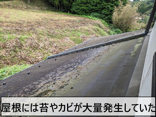 屋根に大量の苔やカビが発生していた