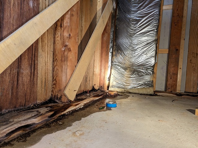 雨水が浸入して濡れている屋根裏