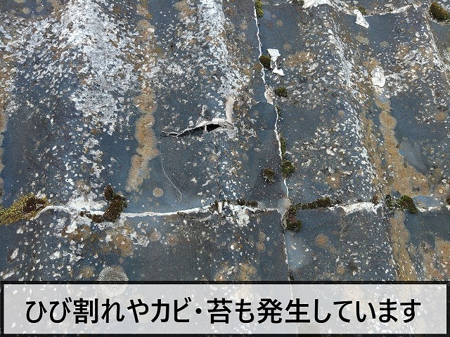 ひび割れやカビや苔も発生している