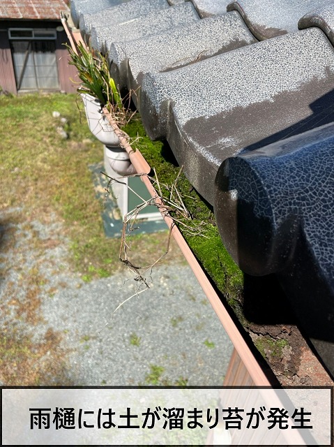 雨樋に土が溜まり苔が発生している状態