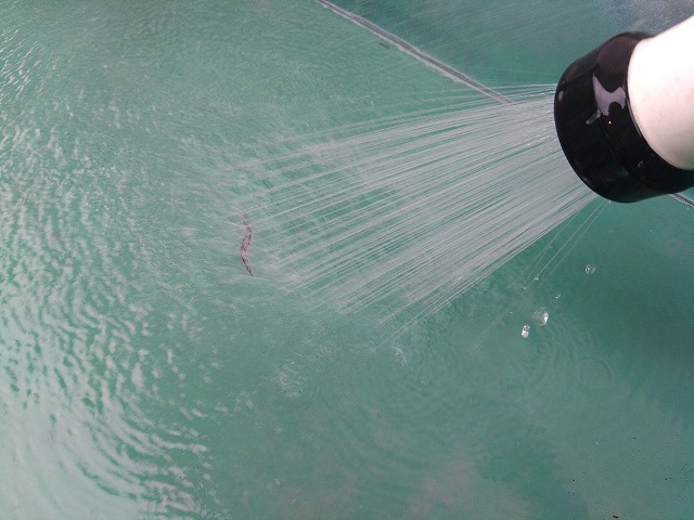 シート防水の亀裂に散水試験を行っている状態