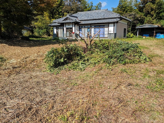 敷地中心あたりの大きめの木を伐採