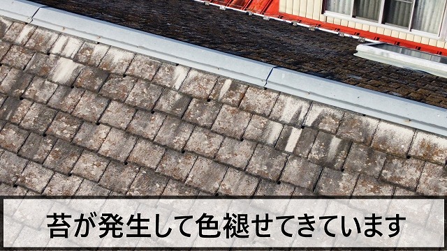 苔が発生して色褪せてきているスレート屋根