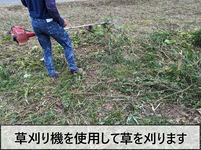 草刈り機を使用して雑草を刈っているところ