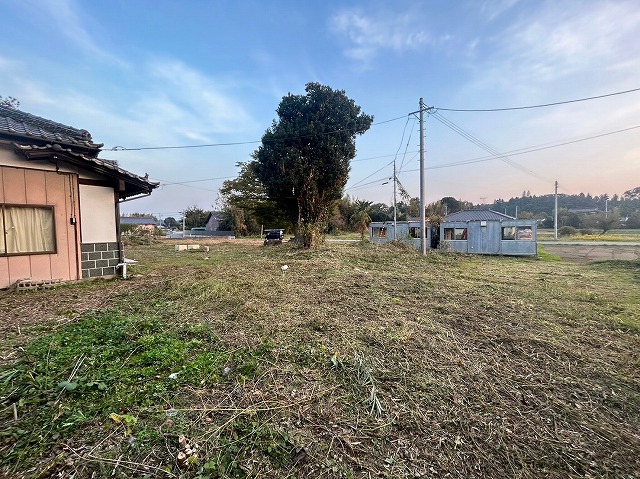 生い茂っていた草を刈り取った状態