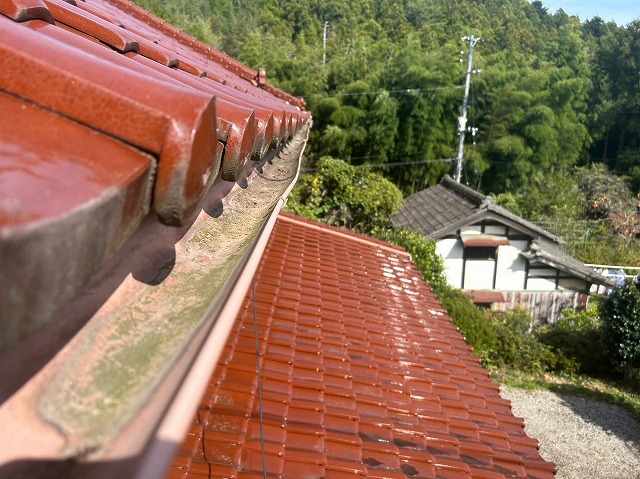 雨樋や屋根に溜まっていた枯葉などを除去した状態