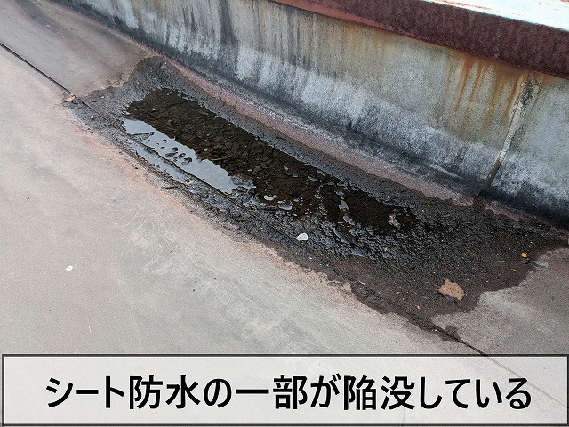 シート防水の一部が陥没している