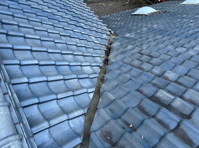 枯葉などを取り除いた状態