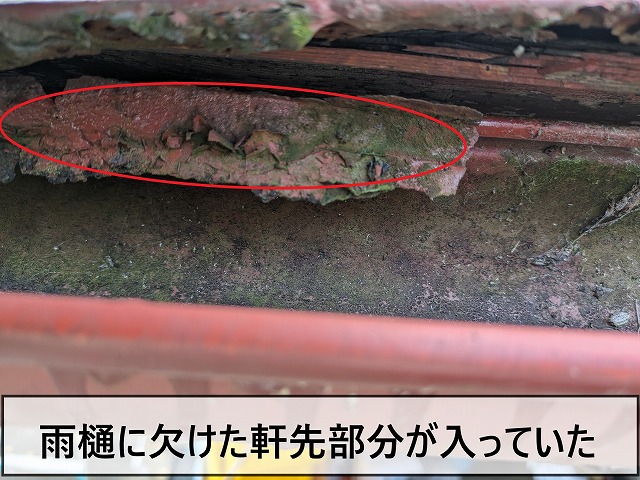 雨樋には欠けてしまった軒先部分が入っていた