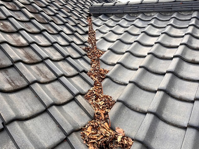 谷に枯葉が溜まっている状態