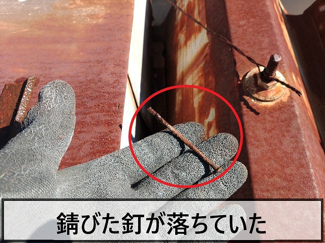 屋根に錆びた釘が落ちていた