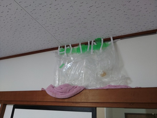 雨漏りが発生している天井付近の壁面