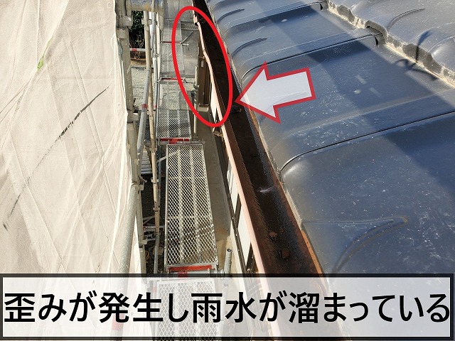 経年劣化により雨樋に歪みが発生し、勾配が悪くなり雨水が溜まっている