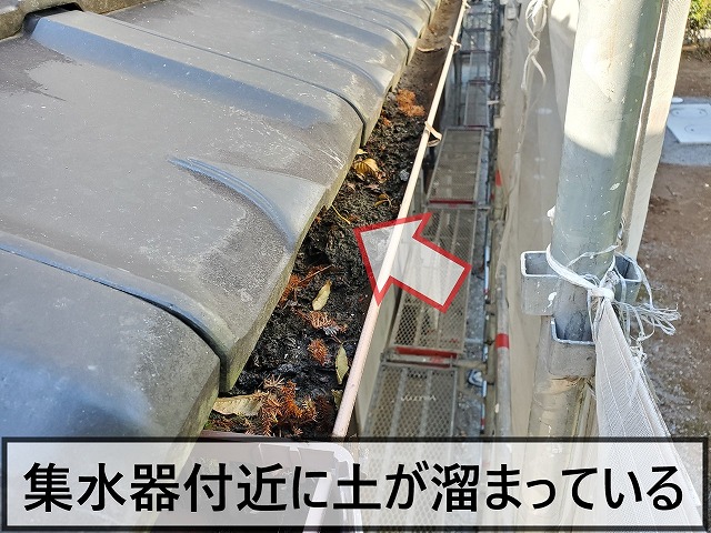 集水器付近には土が溜まってしまっている状態
