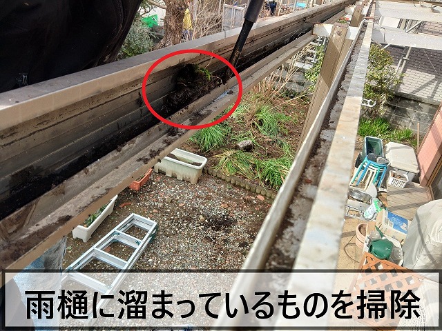 雨樋に溜まっているものを除去しているところ