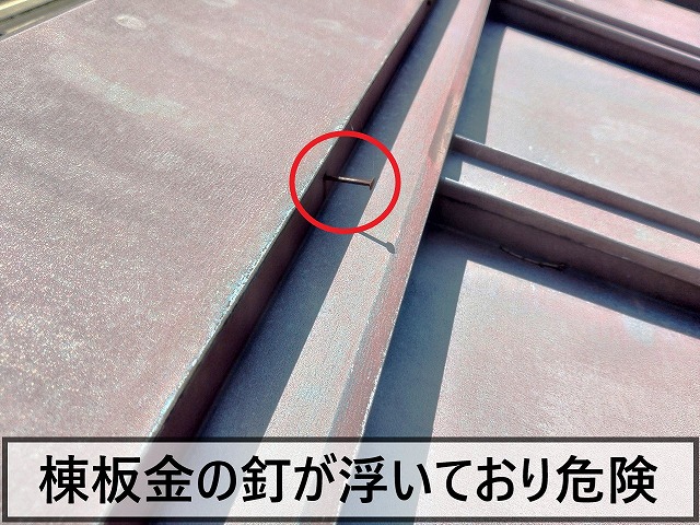 棟板金の固定釘が浮いてきている状態