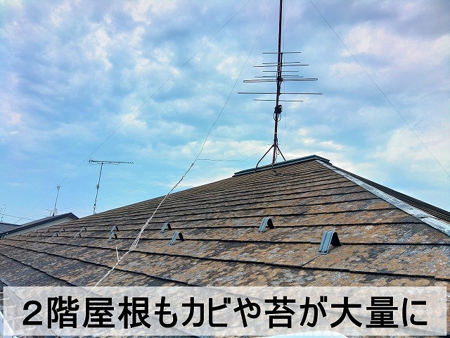 塗膜が剝がれてカビや苔が発生してしまっている２階の屋根