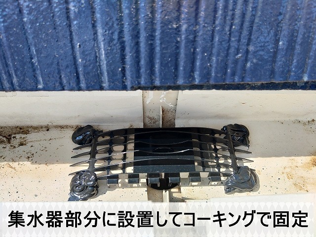 新しいタイプの落ち葉止めを集水器部分に設置