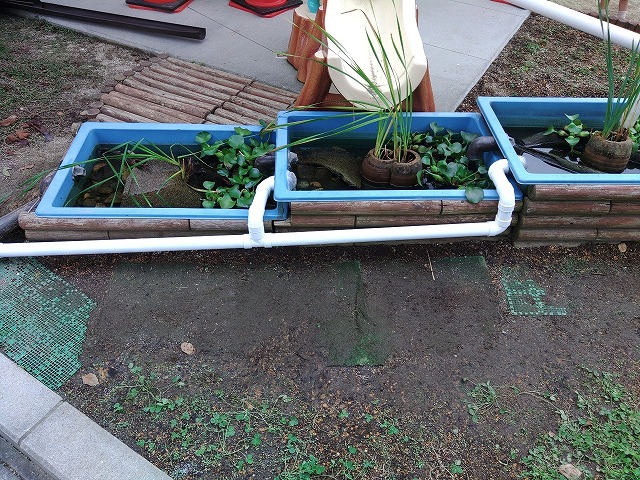 排水管を増やして水の排水がしっかりできる状態にしたビオトープ