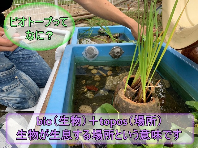 ビオトープってどんな意味?
