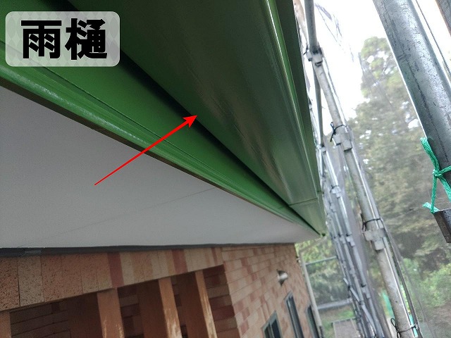 雨樋に塗装を行った状態