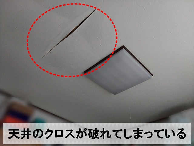 雨漏りにより部屋の天井のクロスが破れてしまっている状態