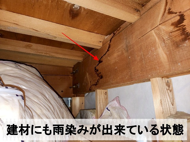 天井裏の建材にも雨染みが出来ている状態