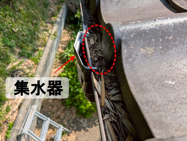 福島県いわき市　雨樋の集水器部分にゴミなどがたまりやすい
