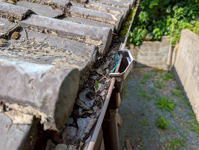 福島県いわき市　雨どいに枯葉がたまっている状態