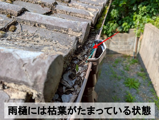 福島県いわき市　雨どいに枯葉がたまっている状態