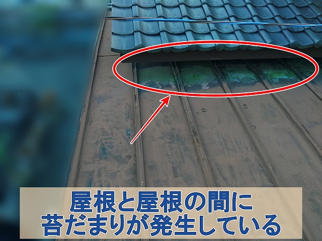福島県須賀川市　屋根と屋根の間に苔だまりは発生している状態