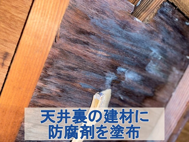 福島県三春町　天井裏のシミが発生した建材部分に防腐剤を塗布しているところ