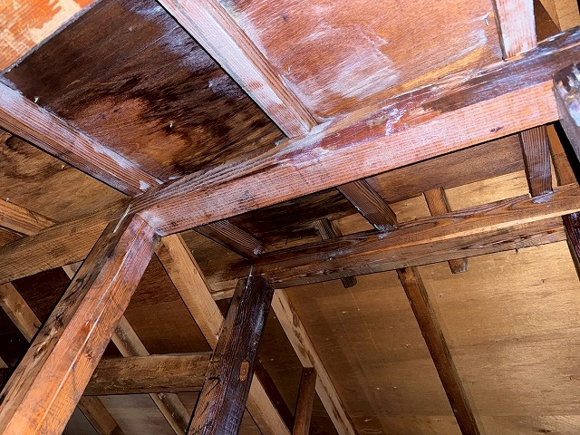 福島県三春町　防腐剤を塗布した状態の屋根裏