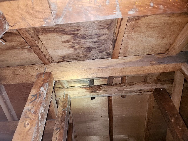 福島県三春町　雨漏りにより黒いシミが出来てしまっている天井裏