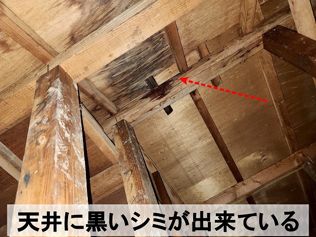 雨漏りした部分の屋根裏の天井には黒いシミが出来ていた